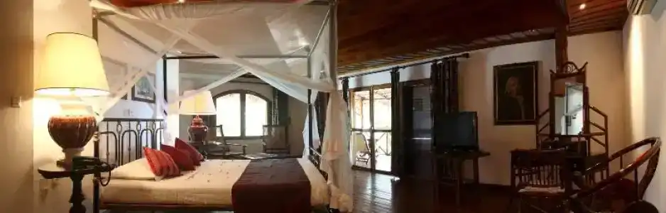 Chauve Souris Relais - 26