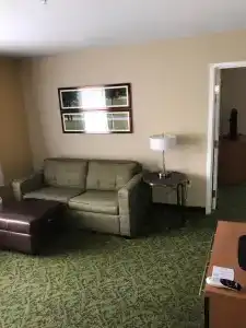 TownePlace Suites by Marriott South/Hamburg Place - 4