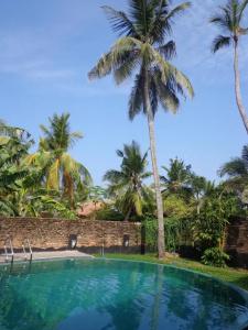 Star White - Negombo - 5