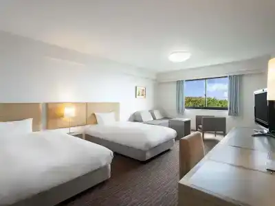 & Resorts Minamiboso - 118