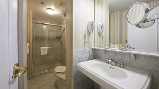 Warwick Allerton Chicago - 9