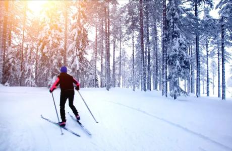 & Pension Traumblick - 20