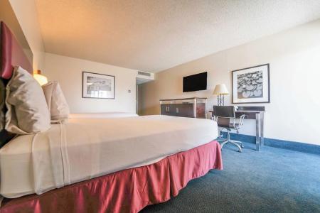 Royal Plaza Inn - 95