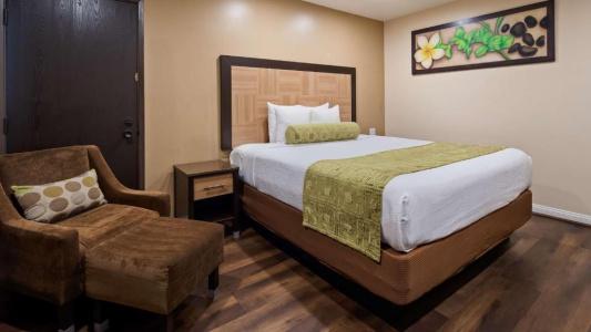 Best Western Plus - 32