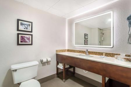Comfort Inn Charlotte Airport Uptown - 62