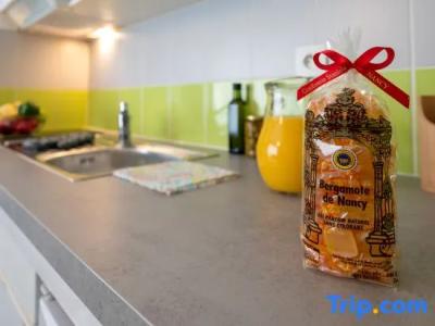 Néméa Appart Nancy Home Suite - 57