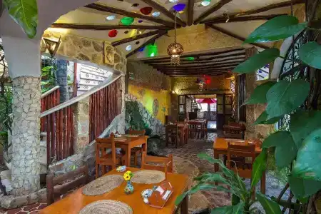 Maison Tulum - 12