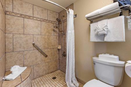 Comfort Suites At Sabino Canyon - 7