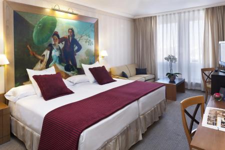 Princesa Plaza Madrid - 2