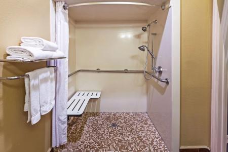 Holiday Inn Express & Suites Houston-Downtown Convention Center, An Ihg - 43
