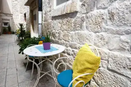 Tragos Lemon Tree - 36