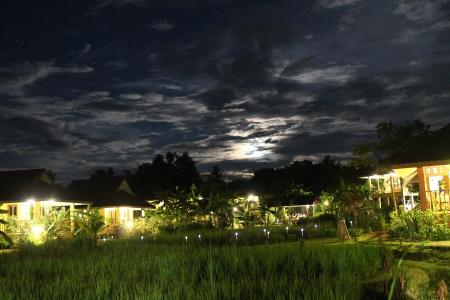 Country Retreat - 16