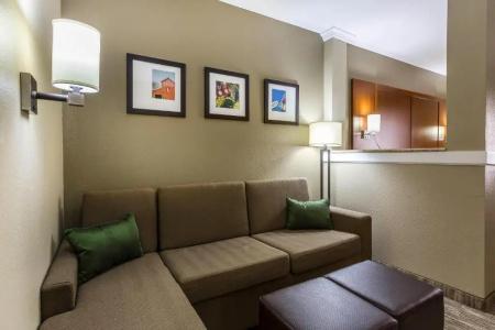 Comfort Suites - University - 55