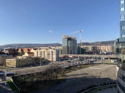 Arpad Bridge - 19