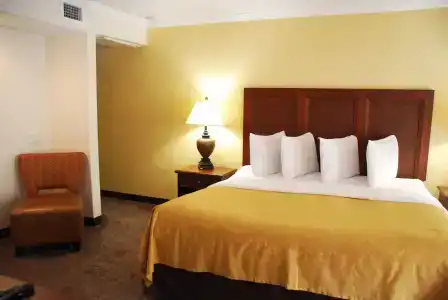 Coconut Cove All Suite - 2