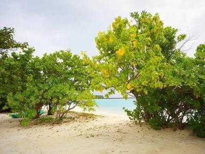 Bibee Maldives - 28