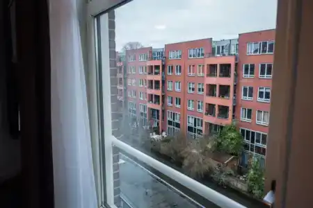 Linden - 110