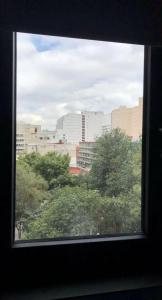 Flamencos - 16
