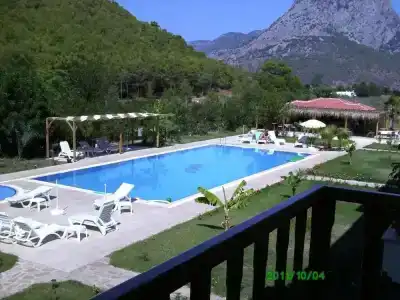 Yonca - 11