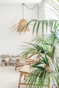 Boutique & Spa Las Mimosas Ibiza - 10