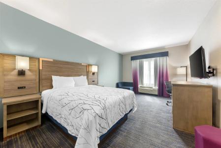 Best Western Plus San Antonio East Inn & Suites - 39