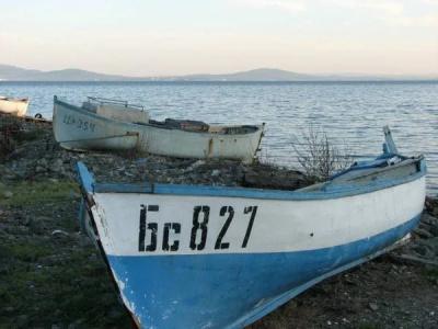 Palma - 12