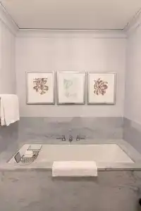 Waldorf Astoria Chicago - 91