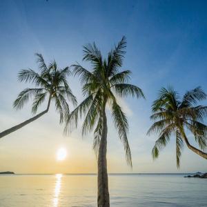 Samui Paradise Chaweng Beach Resort & Spa- Sha Plus - 23