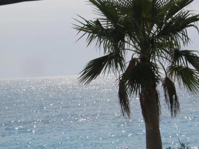 Ionian - 17