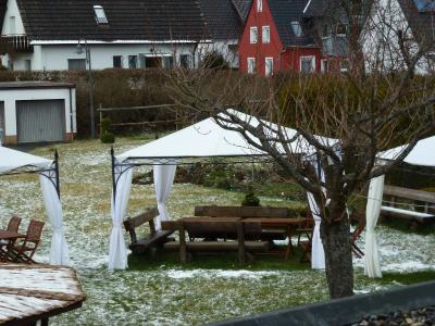 Waldblick - 18