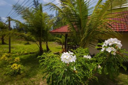 Pranee Beach Bungalows - 51