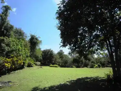 Phanom Bencha Mountain Resort - 38