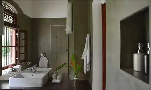 Maya - 7