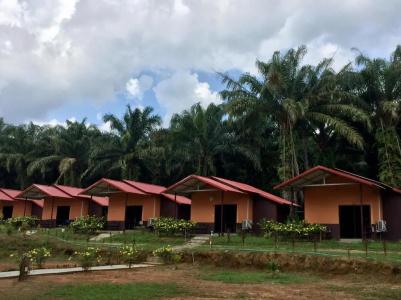 Khao Sok Evergreen House - 54