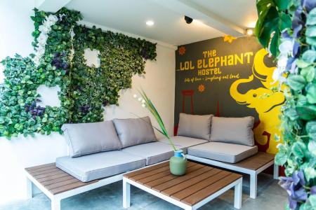 The Lol Elephant Hostel - 11