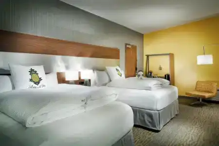 Staypineapple, Z, Gaslamp San Diego - 39