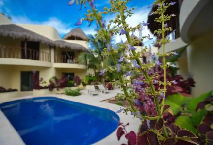 Villas Akalan - 87