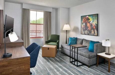 Hampton Inn and Suites Downtown - 159