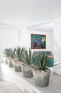 Círculo Condesa - 9