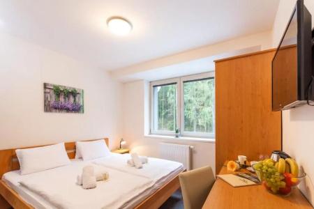 Hotel&wellness Knižecí rybník - 35