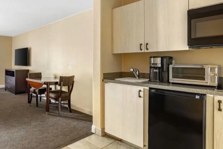 Palm Canyon - 41