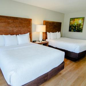 Quality Inn & Suites By the Parks - 35
