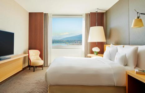 Intercontinental Geneva, An Ihg - 3