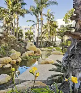 Ventura Beach Marriott - 46