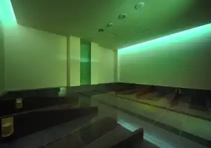 Tokyo Yugawara Onsen Manyo no Yu - 15