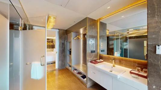 Radisson Blu Grt, Chennai - 115