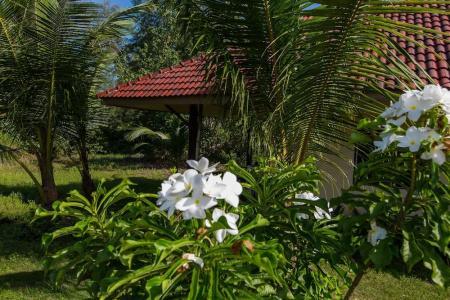 Pranee Beach Bungalows - 46