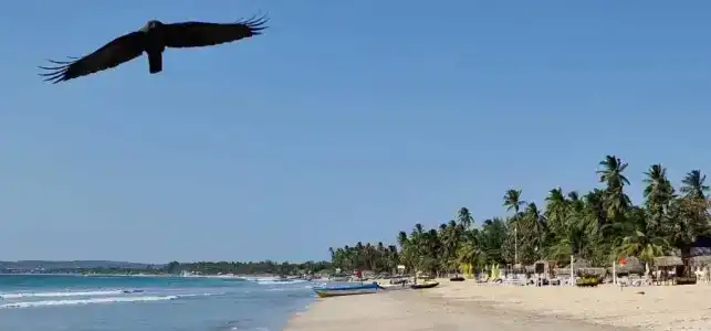 Lucky Beach Resort - 37