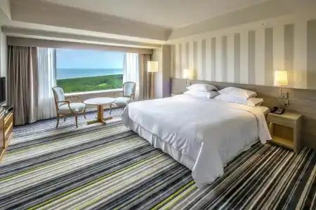 Sheraton Grande Ocean Resort - 101