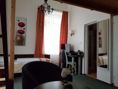 Jana / Pension Domov Mládeže - 43